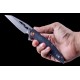 Artisan Cygnus Linerlock CF