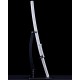 Katana with Horimono
