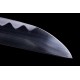 Katana with Horimono