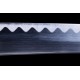 Katana with Horimono