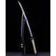 Tenno Katana