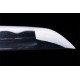 Tenno Katana