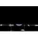 Xia Dynasty: Dragon Sparrow Sword (Argentate)