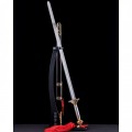Standard Taiji Jian 标准太极剑