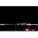 Standard Taiji Jian 标准太极剑