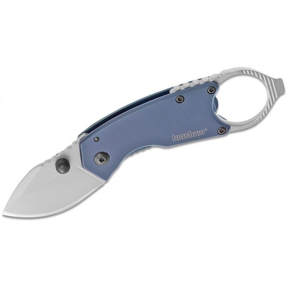Kershaw Antic Framelock