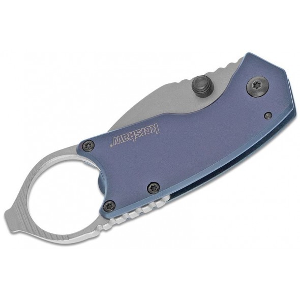 Kershaw Antic Framelock