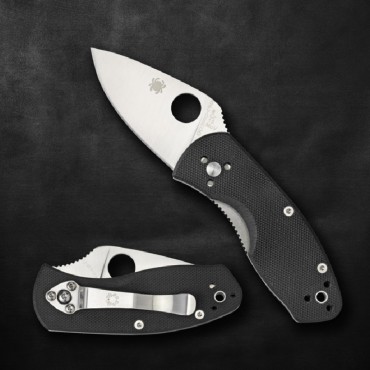Spyderco Ambitious Linerlock G-10 Black