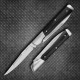 Kershaw Allegory Folder