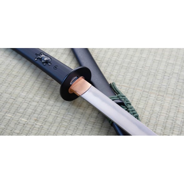 Modern Katana by Dragon King