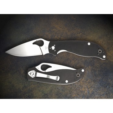 Spyderco Byrd Raven 2 CTS BD1