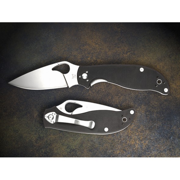 Spyderco Byrd Raven 2 CTS BD1