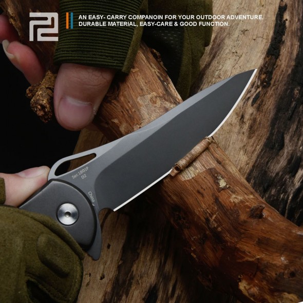 Artisan Dragonfly Framelock D2