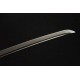 Limited Edition - Shinka 進化刀