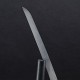 Modern Wakizashi by Dragon King