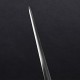Rogier's Rapier