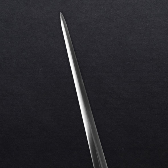 Rogier's Rapier
