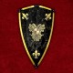 Charles V Shield
