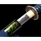 Aokusa Katana 青草