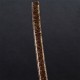 Rinkai Katana 輪貝