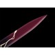 Honkai Star Rail Blade's Sword
