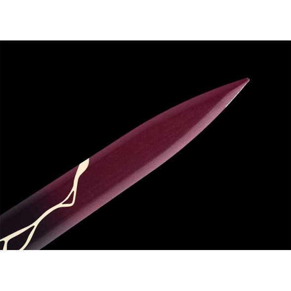 Honkai Star Rail Blade's Sword