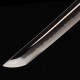 Chikuryū Katana 竹龍