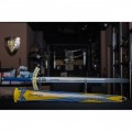 [PRE-ORDER] FSN The Excalibur