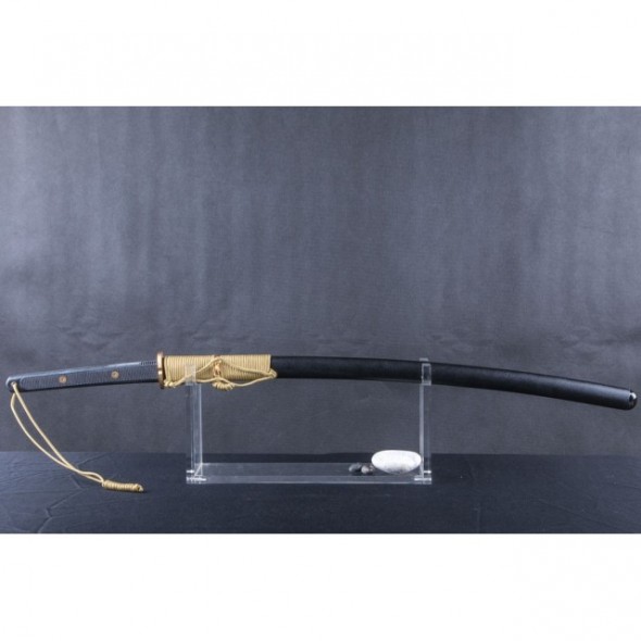 Honshu Full Tang Tactical Katana
